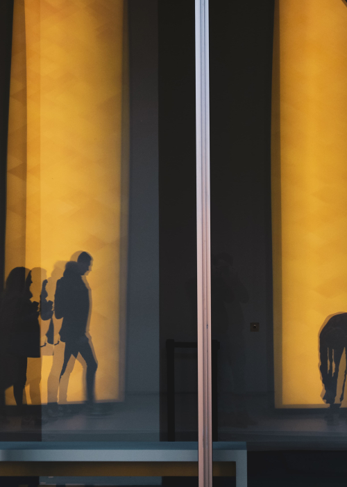 Erwan Desgrées du Loû