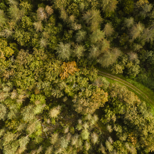 Exposition / Instant de Sologne