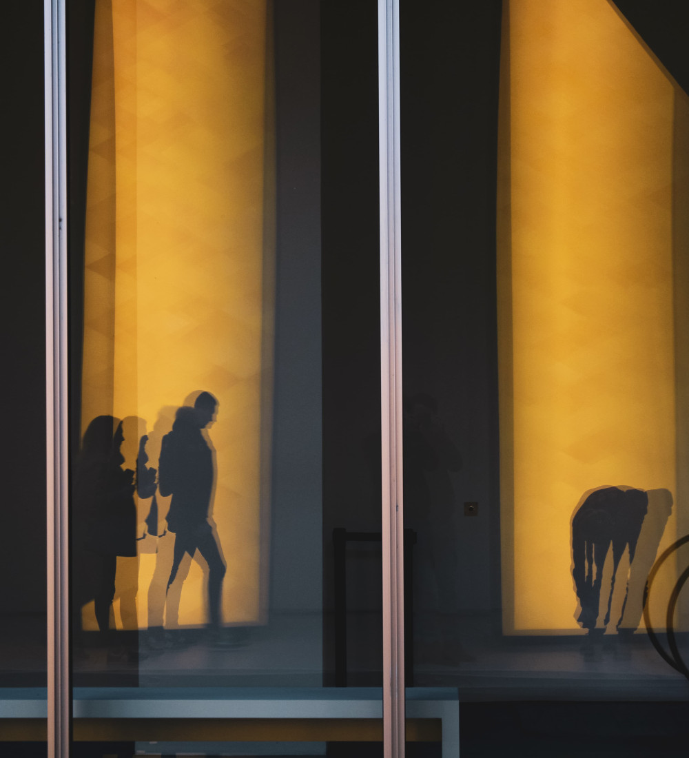 Erwan Desgrées du Loû