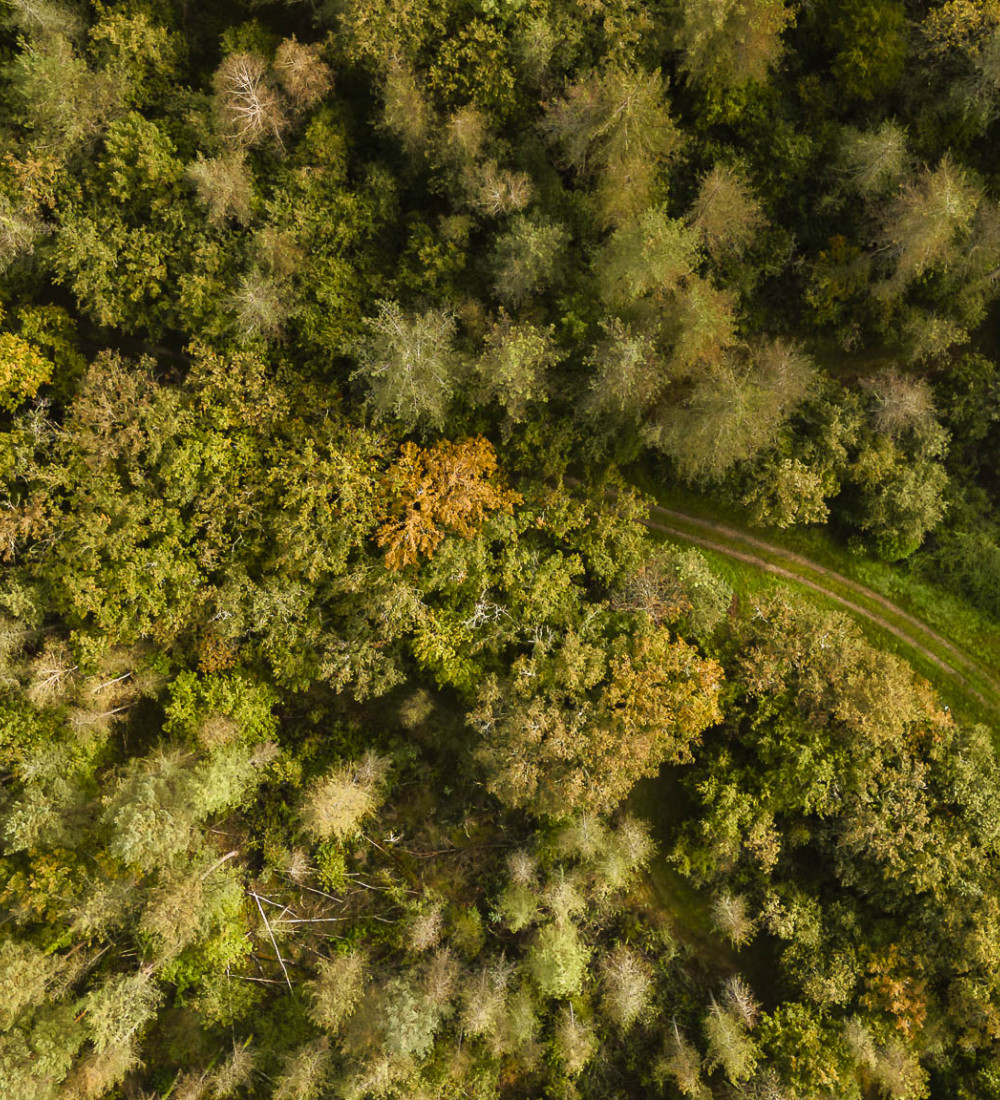 Exposition / Instant de Sologne